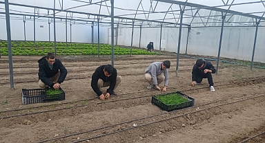 Gençler İçin Yeni Gelecek Kapısı