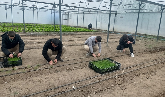 Yaşayan Okul Bakçeleri